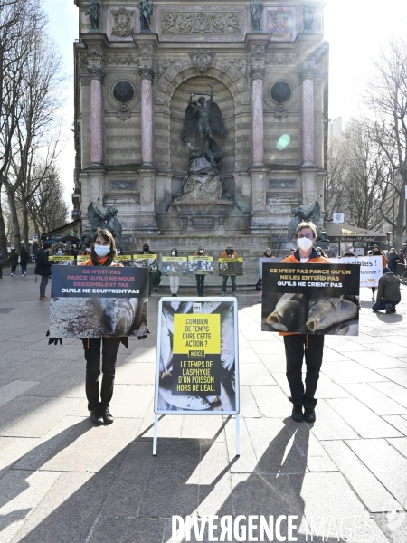 Cause animale : Journée Mondiale pour la Fin de la Peche. Action L214. Animals rights   World Day for the End of Fishing  .