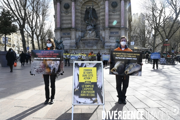 Cause animale : Journée Mondiale pour la Fin de la Peche. Action L214. Animals rights   World Day for the End of Fishing  .