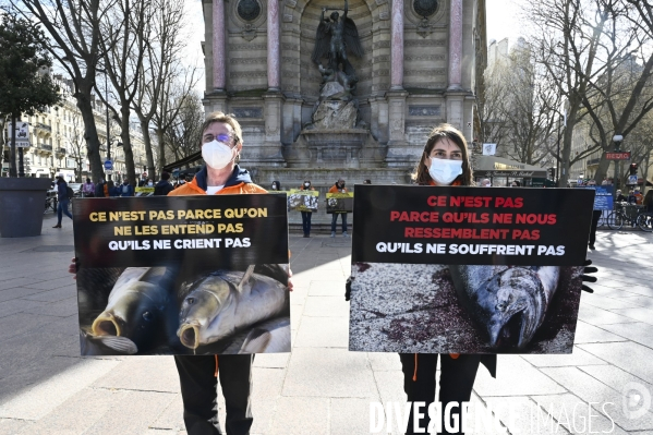 Cause animale : Journée Mondiale pour la Fin de la Peche. Action L214. Animals rights   World Day for the End of Fishing  .