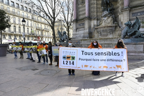 Cause animale : Journée Mondiale pour la Fin de la Peche. Action L214. Animals rights   World Day for the End of Fishing  .