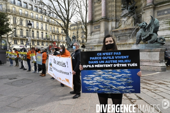 Cause animale : Journée Mondiale pour la Fin de la Peche. Action L214. Animals rights   World Day for the End of Fishing  .