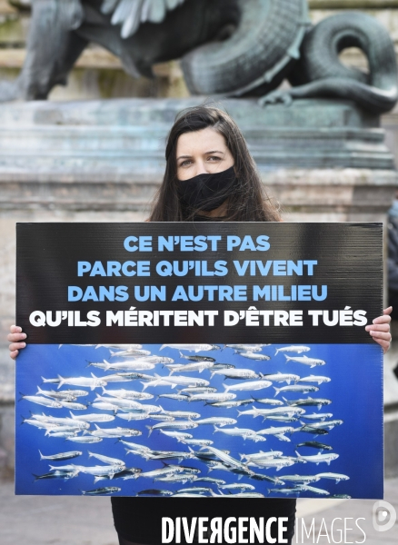 Cause animale : Journée Mondiale pour la Fin de la Peche. Action L214. Animals rights   World Day for the End of Fishing  .