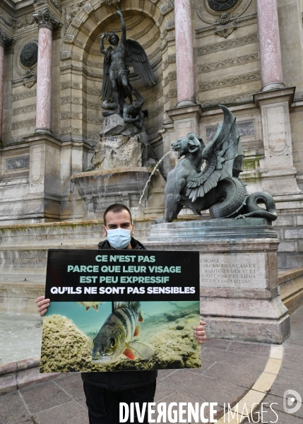 Cause animale : Journée Mondiale pour la Fin de la Peche. Action L214. Animals rights   World Day for the End of Fishing  .