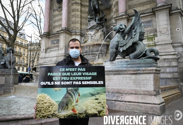 Cause animale : Journée Mondiale pour la Fin de la Peche. Action L214. Animals rights   World Day for the End of Fishing  .