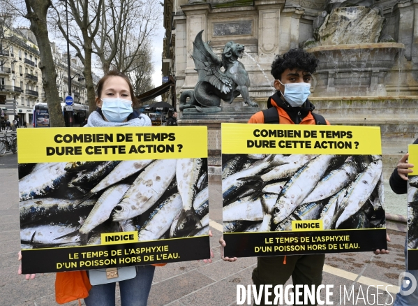 Cause animale : Journée Mondiale pour la Fin de la Peche. Action L214. Animals rights   World Day for the End of Fishing  .