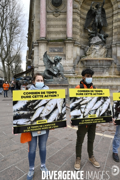 Cause animale : Journée Mondiale pour la Fin de la Peche. Action L214. Animals rights   World Day for the End of Fishing  .