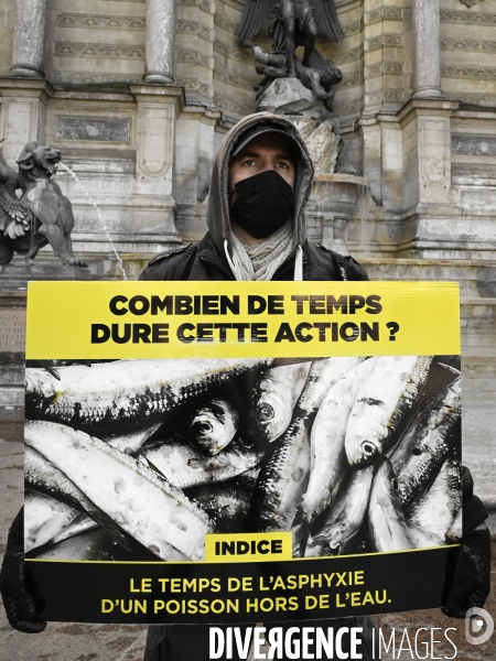 Cause animale : Journée Mondiale pour la Fin de la Peche. Action L214. Animals rights   World Day for the End of Fishing  .