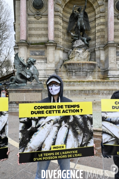 Cause animale : Journée Mondiale pour la Fin de la Peche. Action L214. Animals rights   World Day for the End of Fishing  .