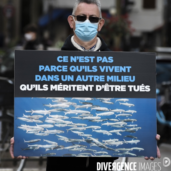 Cause animale : Journée Mondiale pour la Fin de la Peche. Action L214. Animals rights   World Day for the End of Fishing  .