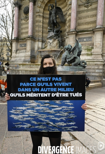 Cause animale : Journée Mondiale pour la Fin de la Peche. Action L214. Animals rights   World Day for the End of Fishing  .