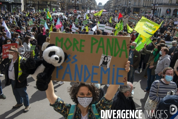 Marche pour le climat