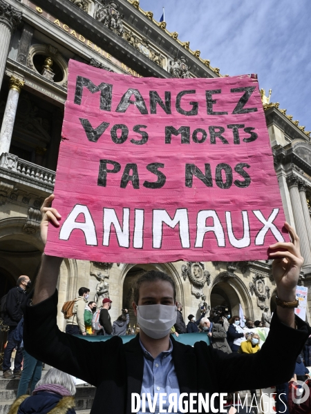 Marche pour le climat 2021, à Paris. Walk for the climate.