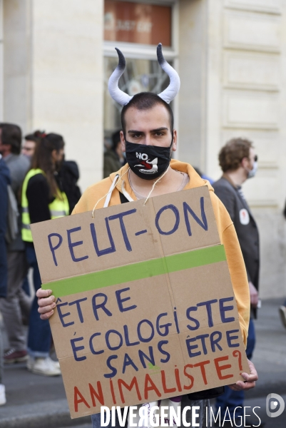 Marche pour le climat 2021, à Paris. Walk for the climate.