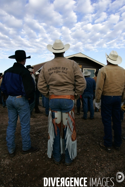 South Dakota Buffalo Round Up