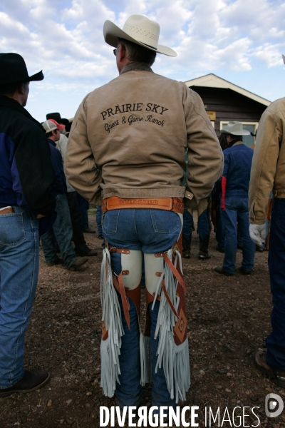 South Dakota Buffalo Round Up