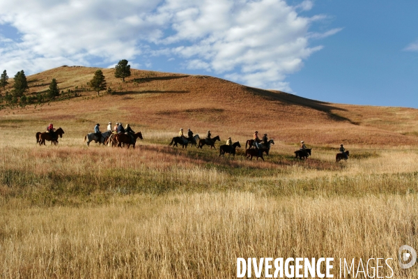 South Dakota Buffalo Round Up