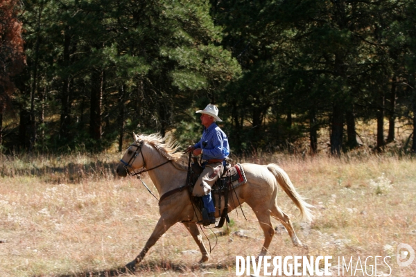 South Dakota Buffalo Round Up