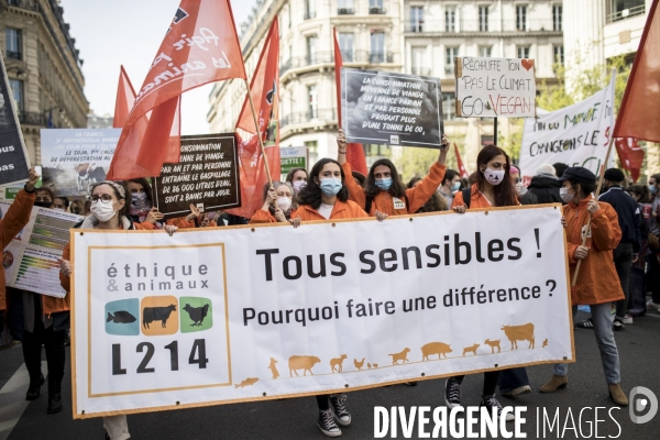 Marche pour le climat 28032021