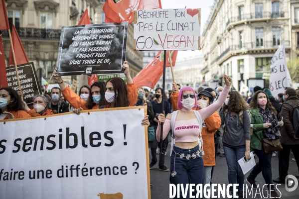 Marche pour le climat 28032021