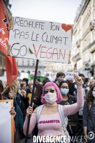 Marche pour le climat 28032021