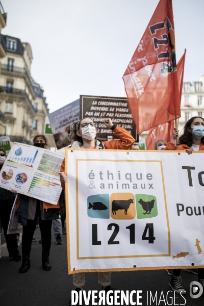 Marche pour le climat 28032021