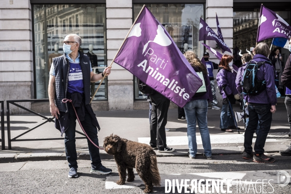 Marche pour une « vraie loi climat ».