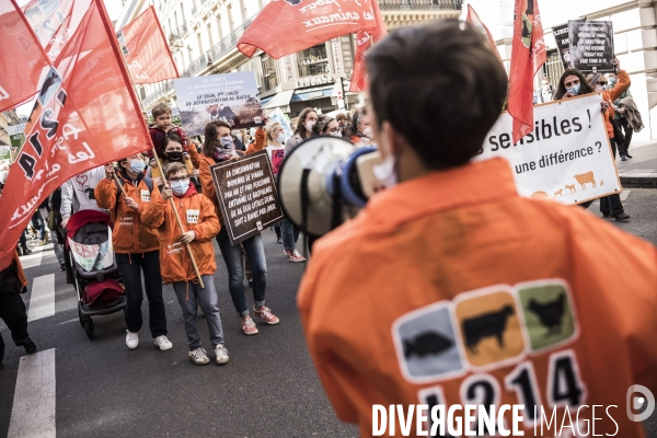 Marche pour une « vraie loi climat ».