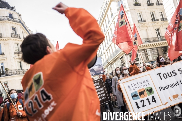 Marche pour une « vraie loi climat ».