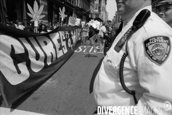 New-york s apprete à legaliser la marijuana