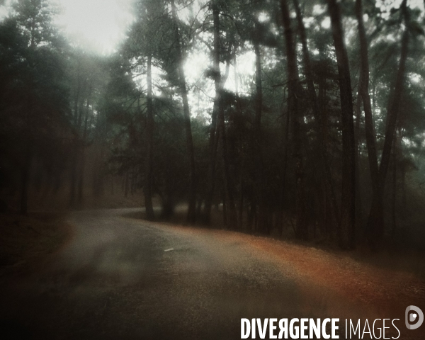 La Silencieuse