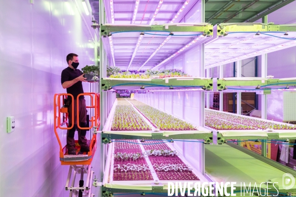 Ferme verticale