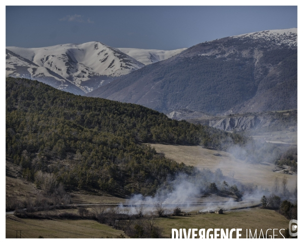 Le Long de la Transbassealpine Digne-Nice ( avant l été )