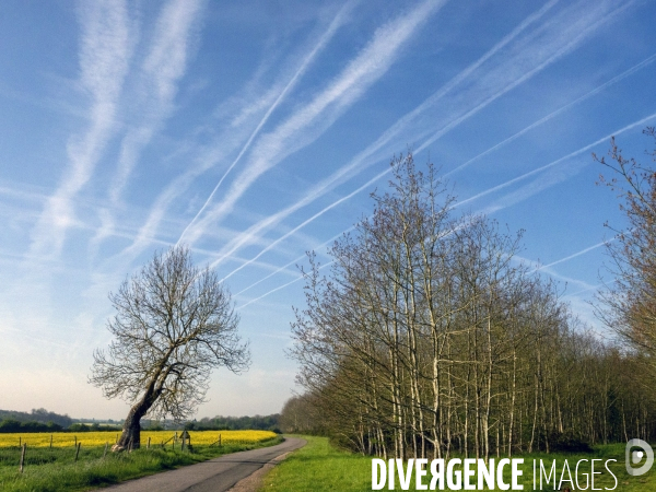 Comparaison de trafic aérien avant et après covid