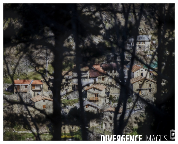 Le Long de la Transbassealpine Digne-Nice ( avant l été )