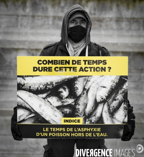 Cause animale : Journée Mondiale pour la Fin de la Peche. Action L214. Animals rights   World Day for the End of Fishing  .