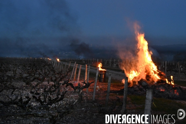 Protection de la vigne contre le gel par enfumage à Château Valmer en Touraine