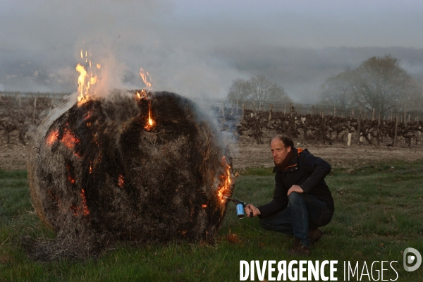 Protection de la vigne contre le gel par enfumage à Château Valmer en Touraine