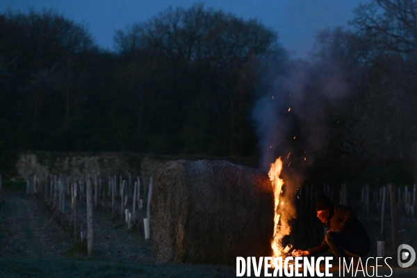 Protection de la vigne contre le gel par enfumage à Château Valmer en Touraine