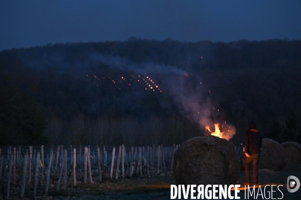 Protection de la vigne contre le gel par enfumage à Château Valmer en Touraine