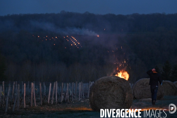 Protection de la vigne contre le gel par enfumage à Château Valmer en Touraine