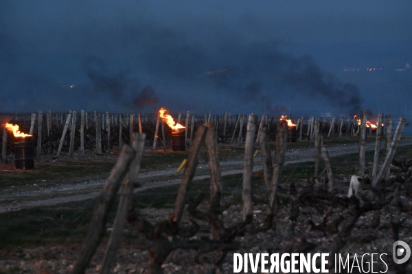 Protection de la vigne contre le gel par enfumage à Château Valmer en Touraine