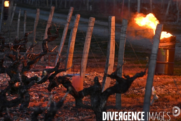 Protection de la vigne contre le gel par enfumage à Château Valmer en Touraine