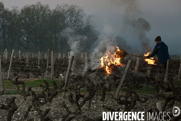 Protection de la vigne contre le gel par enfumage à Château Valmer en Touraine