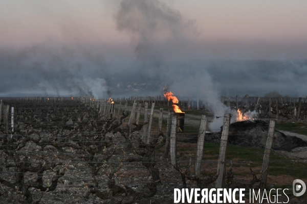 Protection de la vigne contre le gel par enfumage à Château Valmer en Touraine