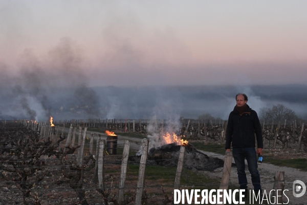 Protection de la vigne contre le gel par enfumage à Château Valmer en Touraine