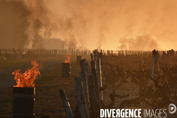 Protection de la vigne contre le gel par enfumage à Château Valmer en Touraine