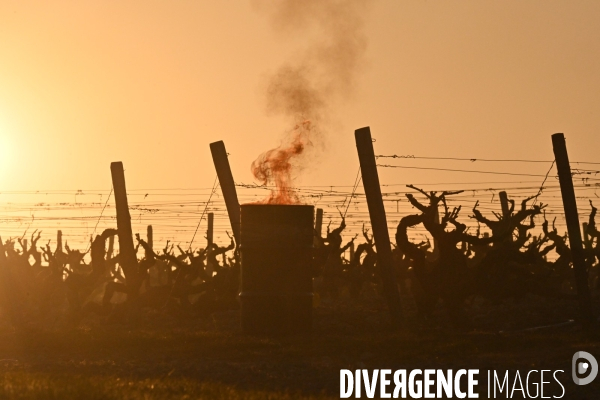 Protection de la vigne contre le gel par enfumage à Château Valmer en Touraine