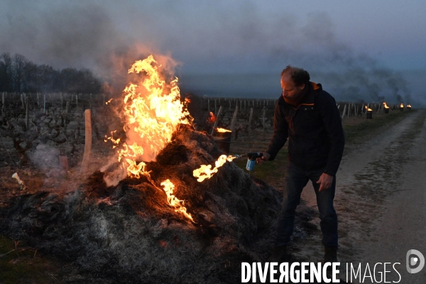 Protection de la vigne contre le gel par enfumage à Château Valmer en Touraine