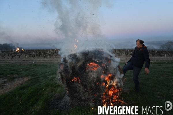 Protection de la vigne contre le gel par enfumage à Château Valmer en Touraine