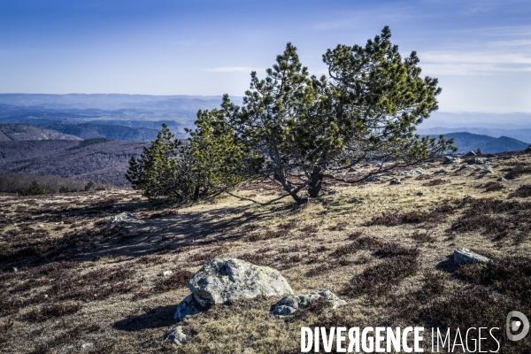 Le Mont Aigoual et son Observatoire